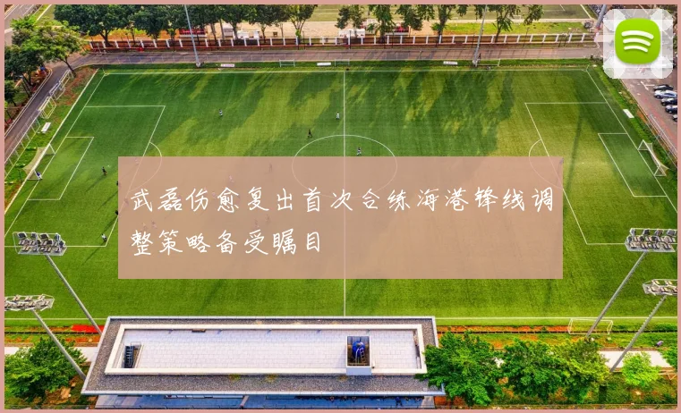 武磊伤愈复出首次合练海港锋线调整策略备受瞩目