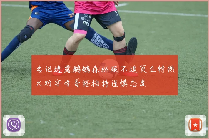 名记透露鹈鹕森林狼不追莫兰特热火对字母哥搭档持谨慎态度